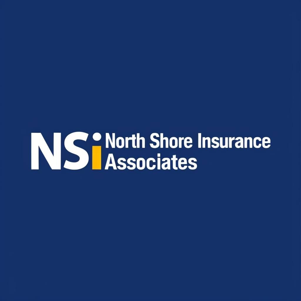nsi logo