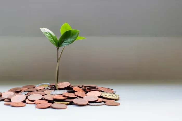 Small plant growing above coins, an illustration of savings growth