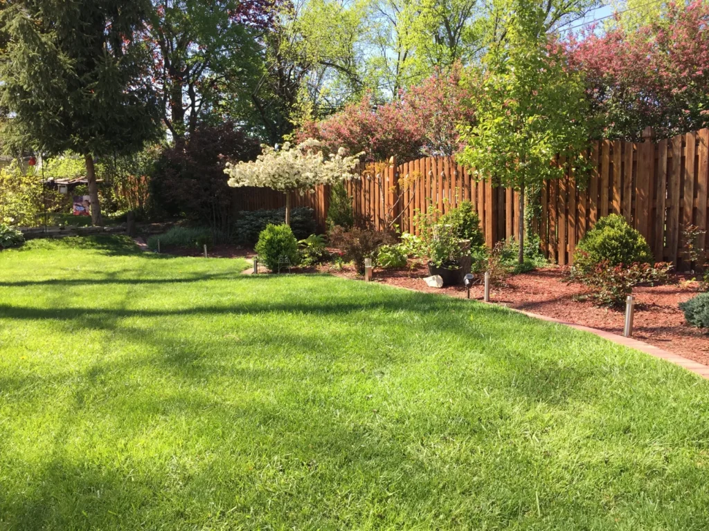 Garden landscape shown on the D Arbor Professionals website
